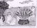 Edward Gorey (American 1925-2000) Lithographs - 13