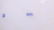 Royal Copenhagen Blue Fluted Porcelain, Early Mark - 12