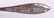 Sterling Silver Souvenir Spoons - 14