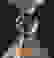item-75434405=5