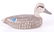 Two Duck Decoys, Blue Wing Teal, Black/Red Example - 8
