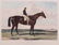 English Racing Horse Engraving After Harry Hall - 2