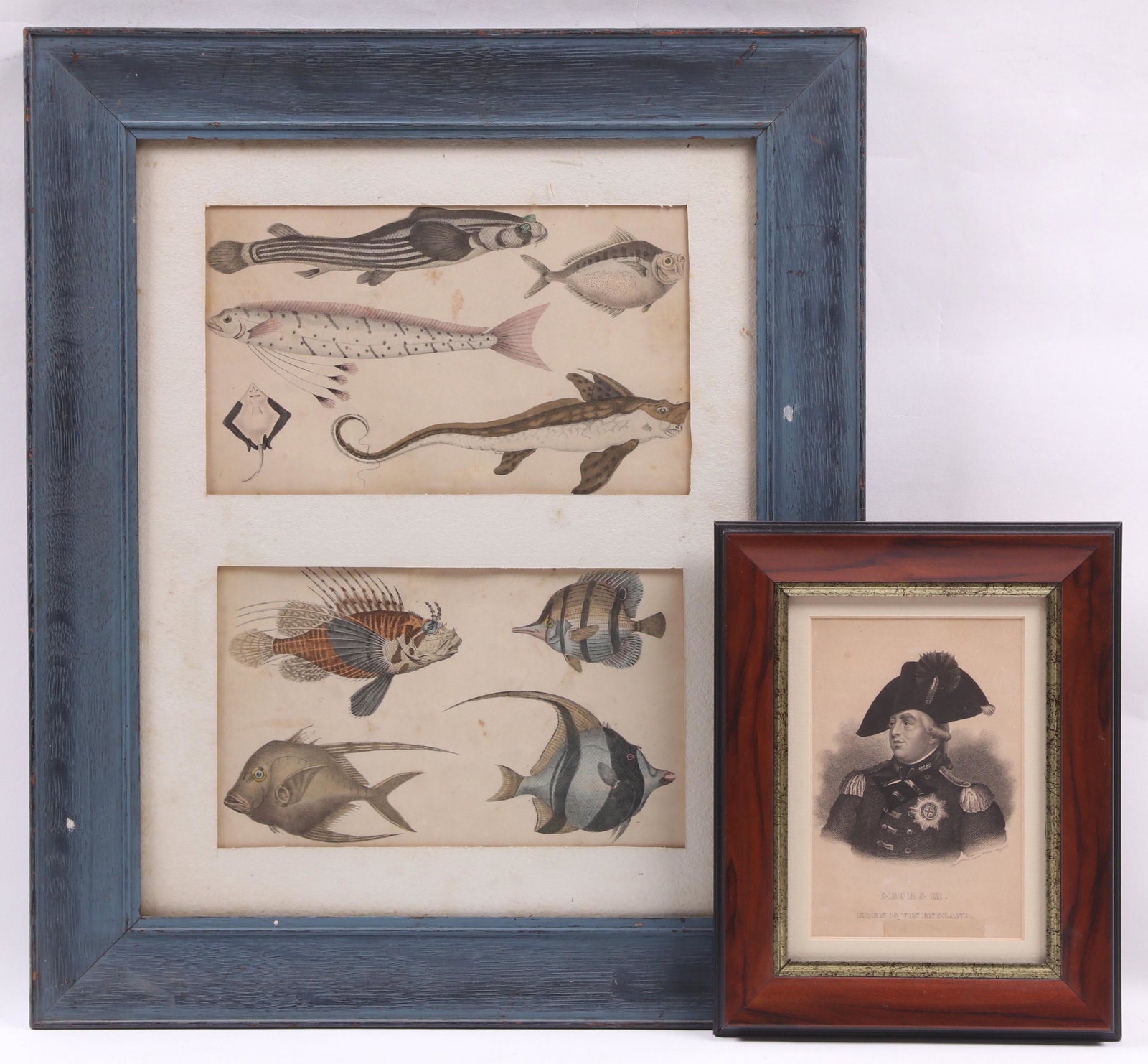 Three Engravings: George III, and Exotic Fish: An early 19th century German engraving of George III, titled "Georg III - Koenig von England", by Carl Mayer; two hand colored engravings of exotic fish from â€œA History of the Earth and Animated