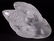 Two Lalique Swans with Mirror Plateau - 12