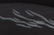 Two Lalique Swans with Mirror Plateau - 4