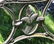 A Cast Iron Garden Bench - 8