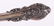 Sterling Silver Flatware Service by Wallace - 10