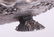 A Gorham Narragansett Sterling Oyster Dish - 5