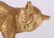 Cat Form 18k Gold and Diamond Pin - 2