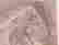 item-77769981=4