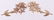 A 14k Gold Necklace and Earring Set - 10