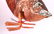 Three German Christmas Ornaments, Animals - 4