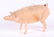 Three German Christmas Ornaments, Animals - 7