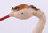 A German Christmas Ornament, Stork with Umbrella - 3