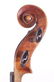 Violin and Fernando Del-Perugia Mandolin - 3