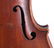 Violin and Fernando Del-Perugia Mandolin - 5