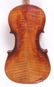 Violin and Fernando Del-Perugia Mandolin - 6