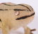 German Christmas Ornaments, Two Frogs - 4