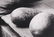 After Eudora Welty Photograph, Elderly Man - 5
