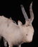 A German Christmas Ornament, Goat - 3