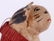 German Christmas Ornament, Cat w/Hat - 5