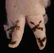 Three German Spun Cotton Christmas Ornaments - 8