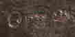item-79242947=5