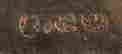 item-79242947=6