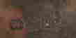 item-79242960=10