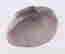 item-79242960=4