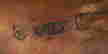 item-79242961=12