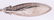 Sterling Silver Flatware, Gorham "Persian" - 10