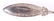 Sterling Silver Flatware, Gorham "Persian" - 4