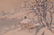 Chinese School (20th Century) Four Paintings - 7