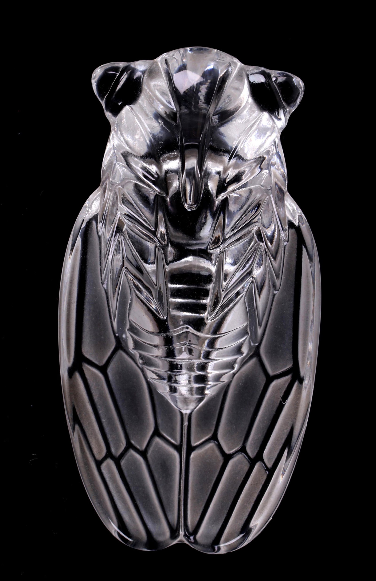 A Steuben Glass Cicada Pendant: A signed pendant, 20th century. Dimensions:2 1/2" long. Provenance:From a local collection.