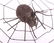 A Wrought Iron Spider Web Form Jewelry Hook - 6