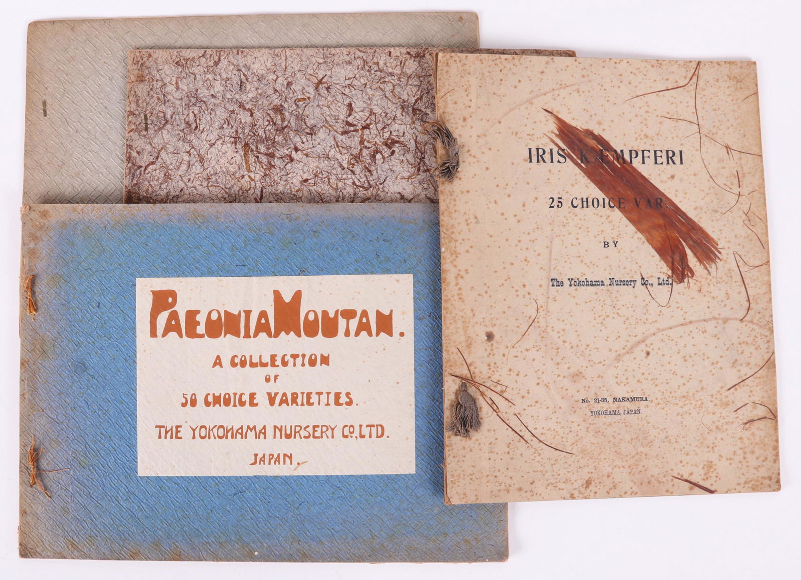 A Group of Floral Catalogs, Yokohama Nursery (1 of 11)