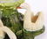 A Large Majolica Centerpiece - 5