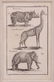 Five Framed Animal Prints - 10