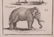 Five Framed Animal Prints - 12