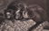 Five Framed Animal Prints - 3