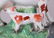 A Pair of Staffordshire Cow Spill Vases - 3