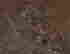 item-85751514=2