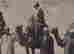 item-85751532=5