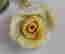 item-89853041=3