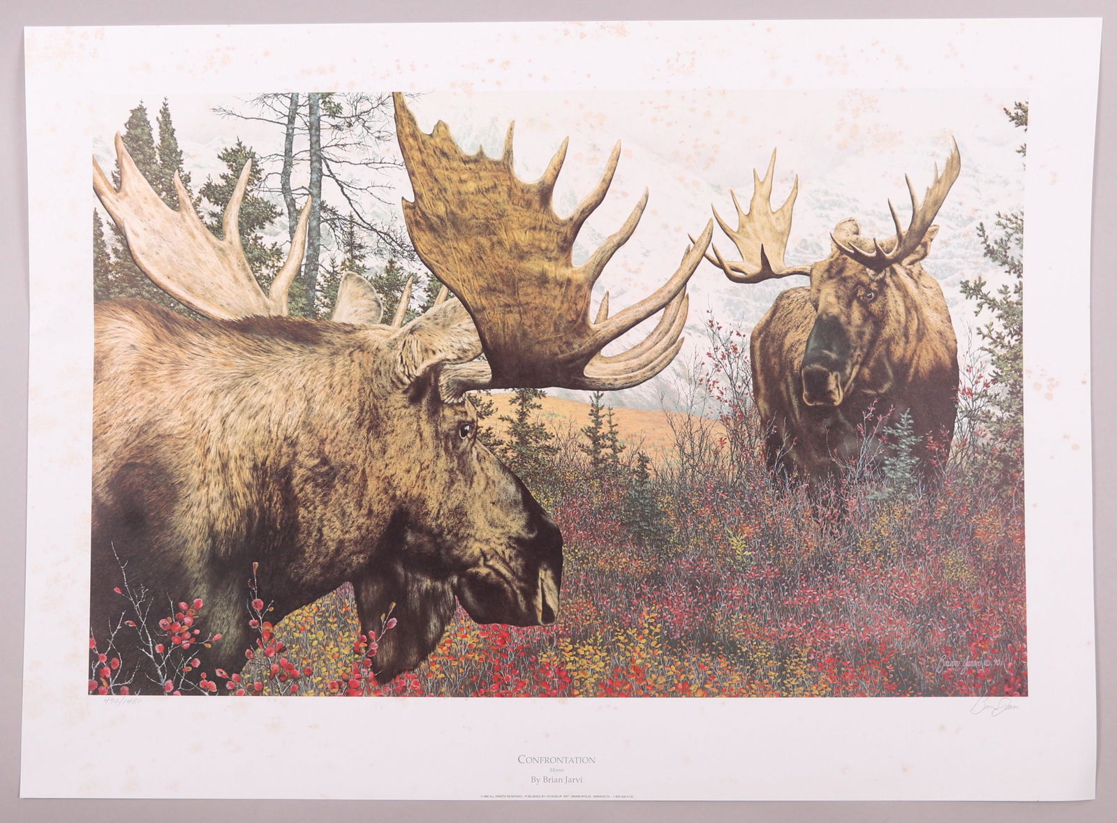Brian Jarvi (Born 1956) Lithograph, Moose (1 of 7)
