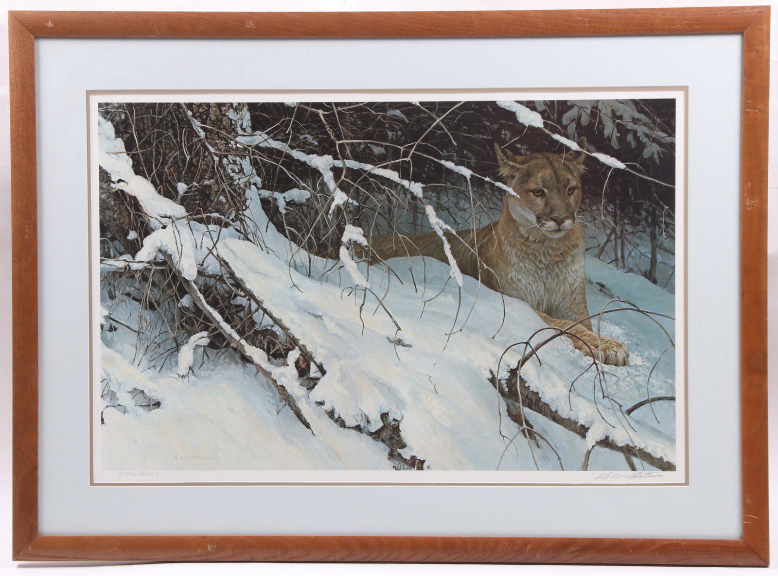 Robert Bateman (Born 1930) Lithograph, Cougar (1 of 7)