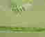 item-91151277=4