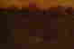 item-91151313=3