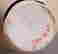 item-92556604=13